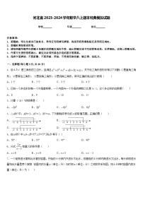 河北省2023-2024学年数学八上期末经典模拟试题含答案