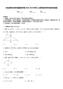 河北省邢台市英华集团初中部2023-2024学年八上数学期末教学质量检测试题含答案