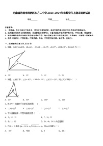 河南省洛阳市涧西区东方二中学2023-2024学年数学八上期末调研试题含答案