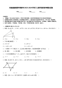 河南省南阳镇平县联考2023-2024学年八上数学期末联考模拟试题含答案