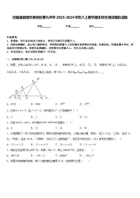 河南省信阳市浉河区第九中学2023-2024学年八上数学期末综合测试模拟试题含答案