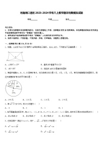 河南周口港区2023-2024学年八上数学期末经典模拟试题含答案