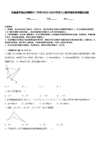 河南省平顶山市第四十二中学2023-2024学年八上数学期末统考模拟试题含答案