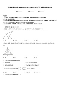 河南省驻马店确山县联考2023-2024学年数学八上期末达标检测试题含答案