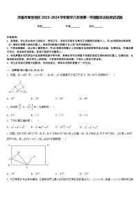 济南市莱芜地区2023-2024学年数学八年级第一学期期末达标测试试题含答案