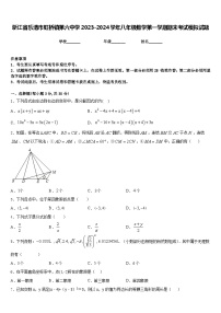 浙江省乐清市虹桥镇第六中学2023-2024学年八年级数学第一学期期末考试模拟试题含答案