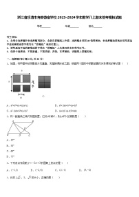 浙江省乐清市育英寄宿学校2023-2024学年数学八上期末统考模拟试题含答案