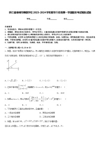 浙江省嵊州市蒋镇学校2023-2024学年数学八年级第一学期期末考试模拟试题含答案