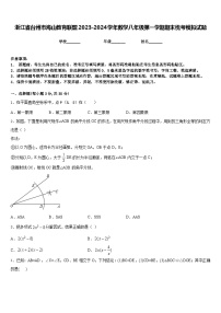 浙江省台州市海山教育联盟2023-2024学年数学八年级第一学期期末统考模拟试题含答案