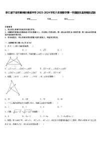 浙江省宁波市鄞州区横溪中学2023-2024学年八年级数学第一学期期末监测模拟试题含答案