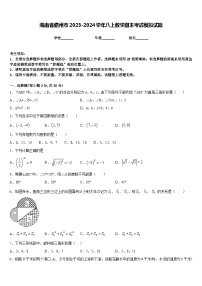 海南省儋州市2023-2024学年八上数学期末考试模拟试题含答案