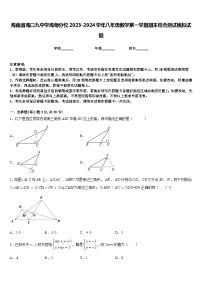 海南省海口九中学海甸分校2023-2024学年八年级数学第一学期期末综合测试模拟试题含答案