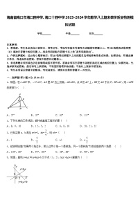 海南省海口市海口四中学、海口十四中学2023-2024学年数学八上期末教学质量检测模拟试题含答案