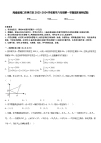 海南省海口市美兰区2023-2024学年数学八年级第一学期期末调研试题含答案