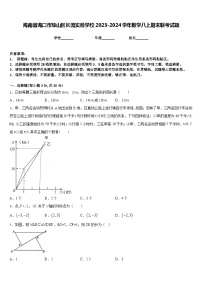 海南省海口市琼山区长流实验学校2023-2024学年数学八上期末联考试题含答案