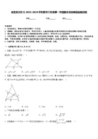 湖北利川文斗2023-2024学年数学八年级第一学期期末质量跟踪监视试题含答案