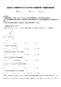 湖北武汉一初慧泉中学2023-2024学年八年级数学第一学期期末监测试题含答案