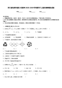 浙江省杭州市城区六校联考2023-2024学年数学八上期末调研模拟试题含答案