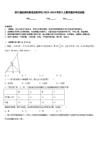 浙江省杭州市景成实验学校2023-2024学年八上数学期末考试试题含答案