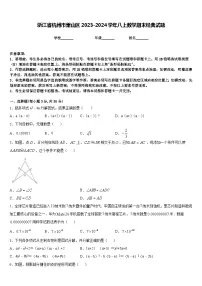 浙江省杭州市萧山区2023-2024学年八上数学期末经典试题含答案