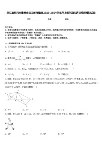 浙江省绍兴市诸暨市浣江教育集团2023-2024学年八上数学期末达标检测模拟试题含答案