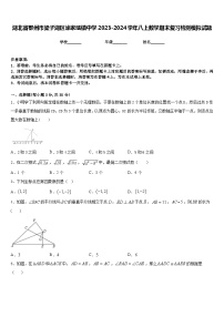 湖北省鄂州市梁子湖区涂家垴镇中学2023-2024学年八上数学期末复习检测模拟试题含答案