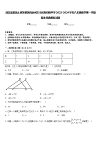 湖北省恩施土家族苗族自治州文斗民族初级中学2023-2024学年八年级数学第一学期期末经典模拟试题含答案