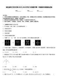 湖北省荆门市沙洋县2023-2024学年八年级数学第一学期期末经典模拟试题含答案