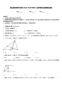 湖北省荆州市洪湖市2023-2024学年八上数学期末监测模拟试题含答案