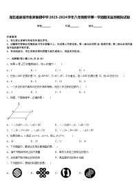 湖北省麻城市张家畈镇中学2023-2024学年八年级数学第一学期期末监测模拟试题含答案