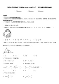 湖北省武汉蔡甸区五校联考2023-2024学年八上数学期末经典模拟试题含答案