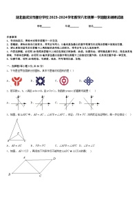 湖北省武汉市部分学校2023-2024学年数学八年级第一学期期末调研试题含答案