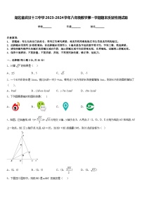 湖北省武汉十三中学2023-2024学年八年级数学第一学期期末质量检测试题含答案