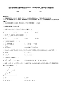 湖北省武汉市六中学致诚中学2023-2024学年八上数学期末预测试题含答案