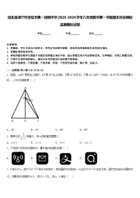 湖北省咸宁市赤壁市第一初级中学2023-2024学年八年级数学第一学期期末质量跟踪监视模拟试题含答案