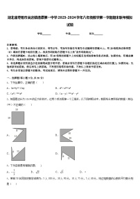 湖北省枣阳市吴店镇清潭第一中学2023-2024学年八年级数学第一学期期末联考模拟试题含答案