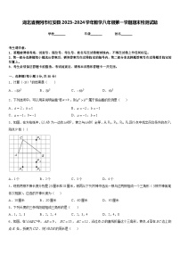 湖北省黄冈市红安县2023-2024学年数学八年级第一学期期末检测试题含答案