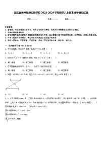 湖北省黄州思源实验学校2023-2024学年数学八上期末统考模拟试题含答案