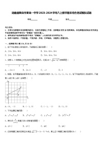 湖南省娄底市娄底一中学2023-2024学年八上数学期末综合测试模拟试题含答案