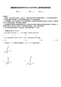 湖南省娄底市实验中学2023-2024学年八上数学期末联考试题含答案