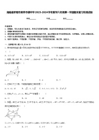 湖南省邵阳市黄亭市镇中学2023-2024学年数学八年级第一学期期末复习检测试题含答案