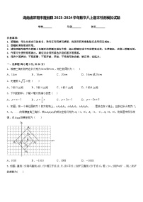 湖南省邵阳市隆回县2023-2024学年数学八上期末检测模拟试题含答案