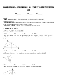 湖南省长沙市湖南师大附中教育集团2023-2024学年数学八上期末教学质量检测模拟试题含答案