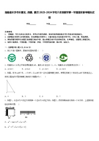 湖南省长沙市长雅实、西雅、雅洋2023-2024学年八年级数学第一学期期末联考模拟试题含答案