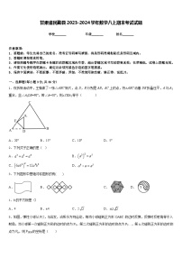 甘肃省民勤县2023-2024学年数学八上期末考试试题含答案