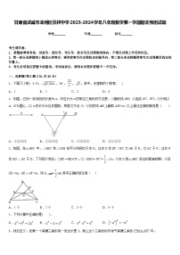 甘肃省武威市凉州区洪祥中学2023-2024学年八年级数学第一学期期末预测试题含答案