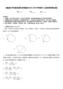 湖南省长沙市雨花区雅礼教育集团2023-2024学年数学八上期末联考模拟试题含答案