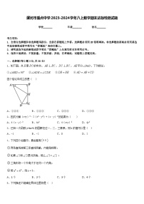 漯河市重点中学2023-2024学年八上数学期末达标检测试题含答案