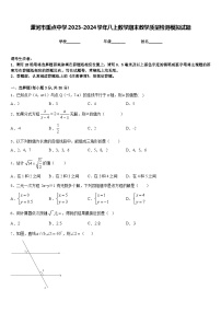 漯河市重点中学2023-2024学年八上数学期末教学质量检测模拟试题含答案