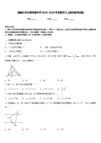 湖南长沙长郡芙蓉中学2023-2024学年数学八上期末联考试题含答案